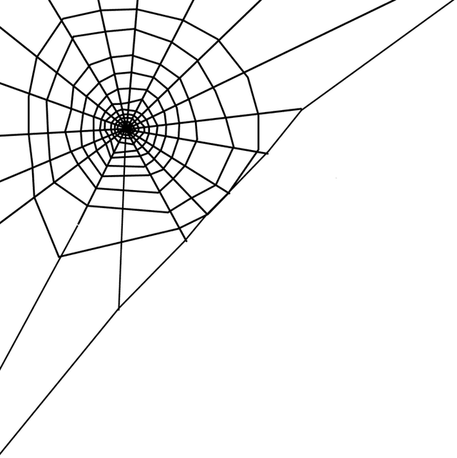 Spider web